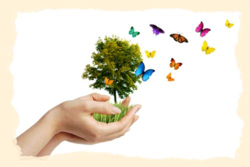 Hands holding a tree with butterflies - eco concept