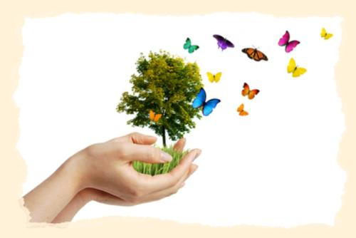 Hands holding a tree with butterflies - eco concept Hands holding a tree with butterflies - eco concept